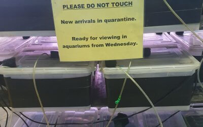 Equipment for Fishtech global quarantine