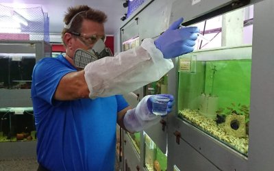 Fish’s sensitivity to diseases and medications