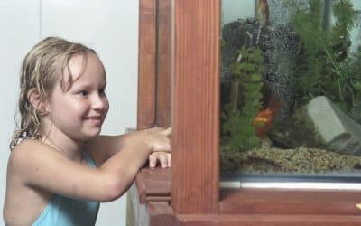 Is that fish you’re buying really healthy?